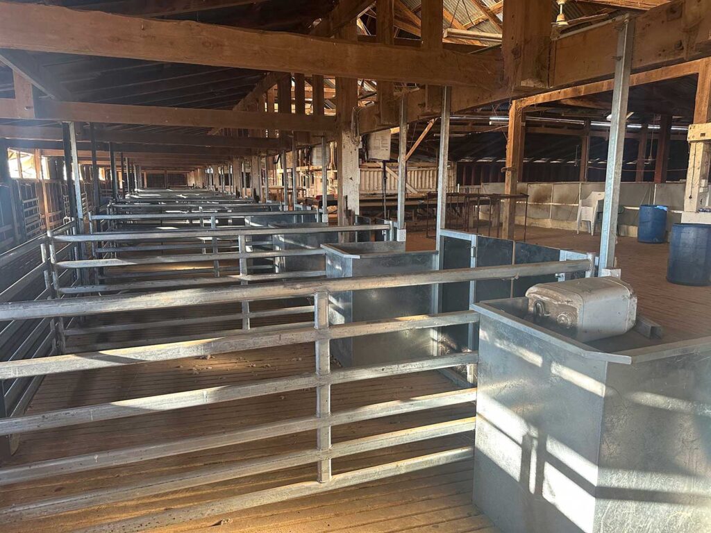 Shearing shed reno