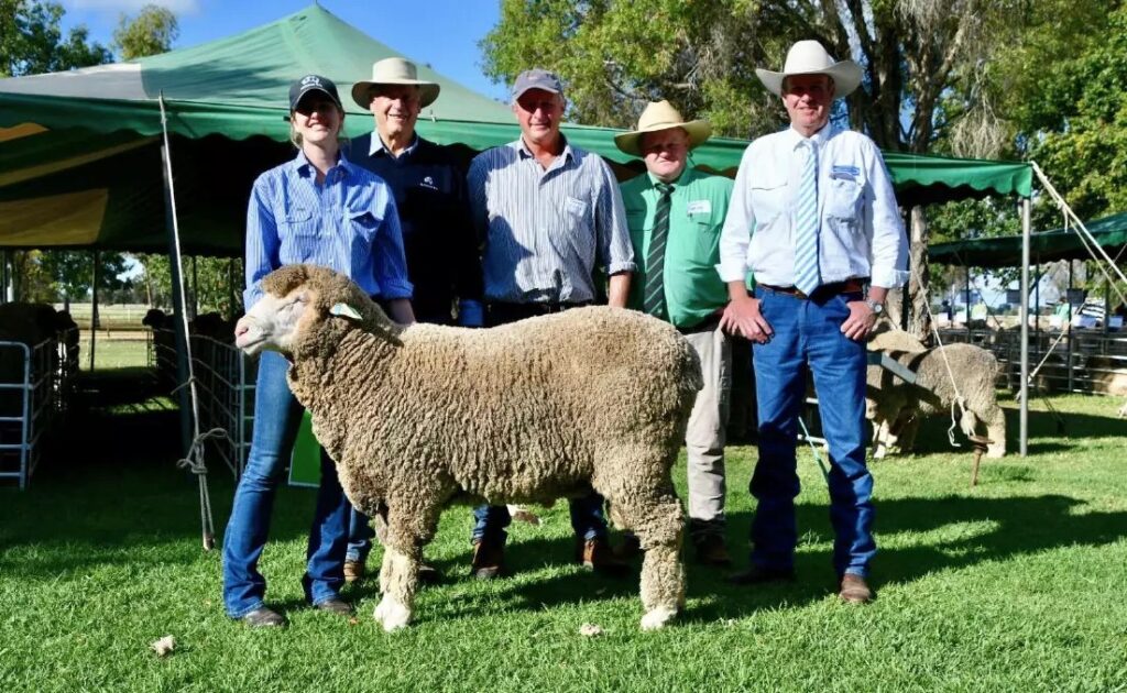 2024 top-priced ram