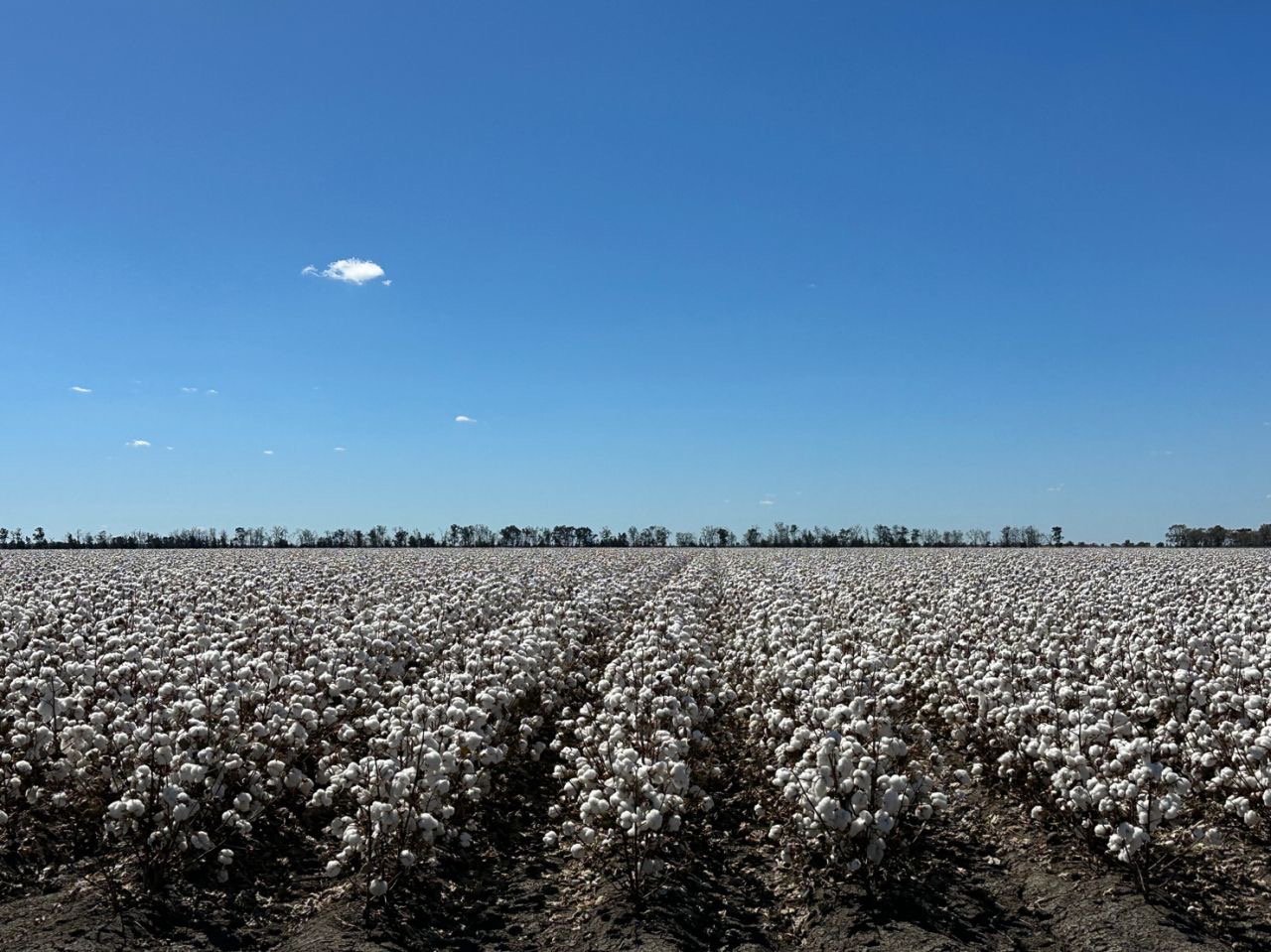 HR Farming – Haddon Rig