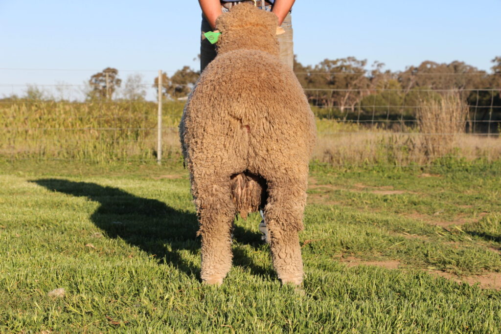 Lot 10