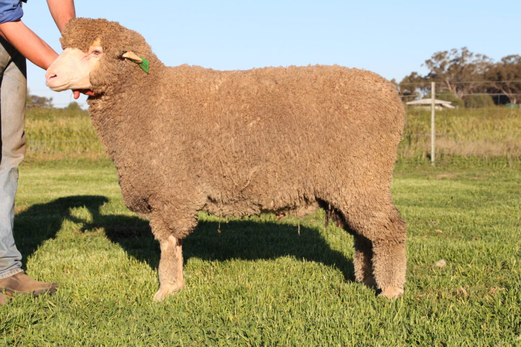 Lot 10