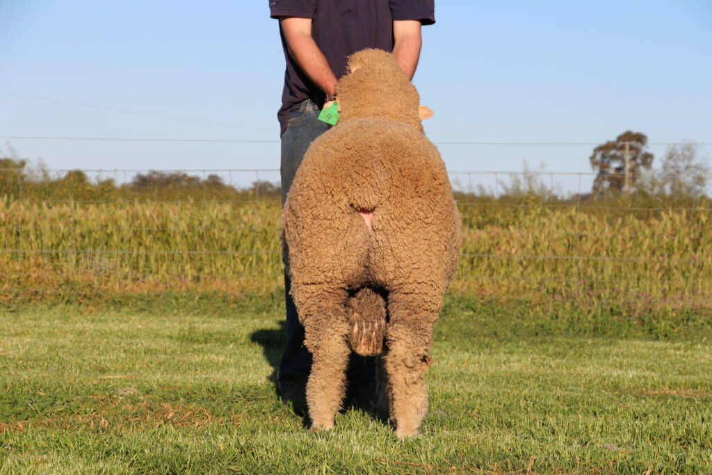 Lot 9