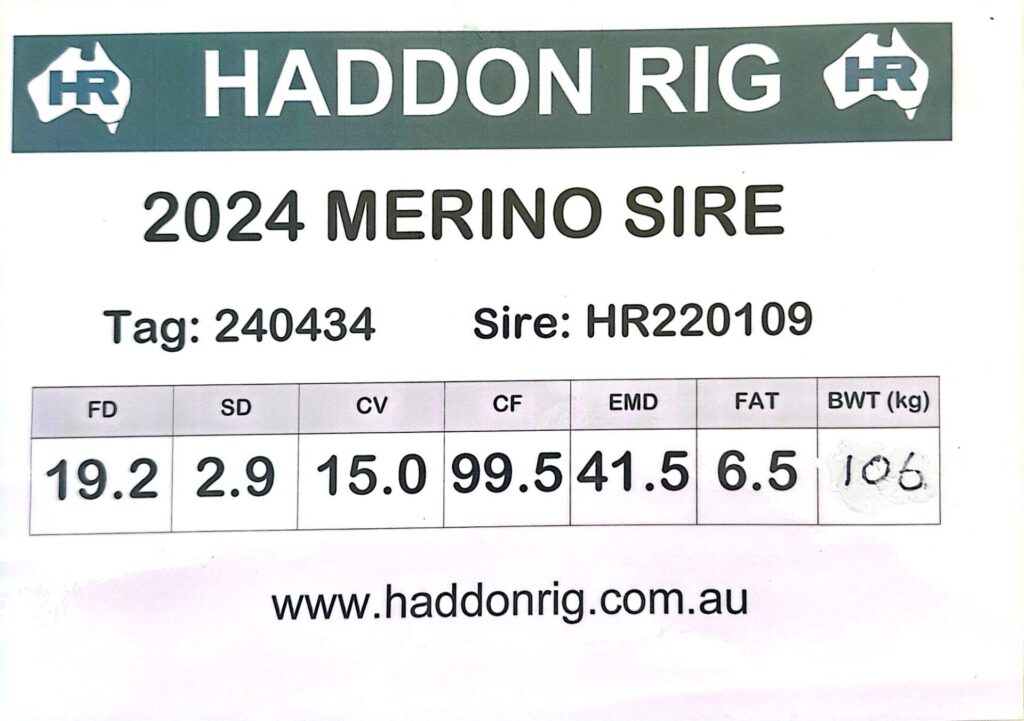 Sire 240434