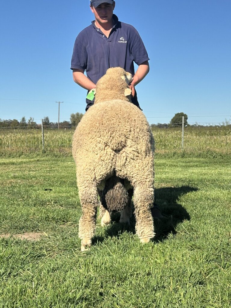 Lot 2